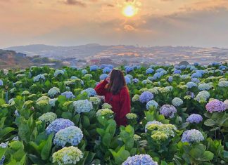 Tour du lịch nội địa 2021 nên đi những điểm đến nào?